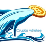 Crypto whale π