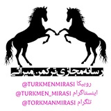 کانال ترکمن میراثی