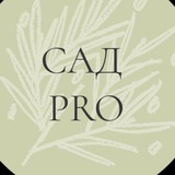 Сад? ПРОСТО! ПРОФИ