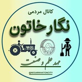 کانال مردمی نگارخاتون