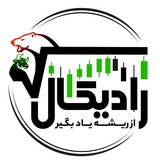 RADICAL EXPORT | آموزش رایگان