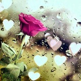 اقتباسات سؤال وجواب ورسائل لـ سلام . 🧡