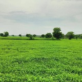 4 जोड़ी SATTA ट्रिक