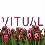 Vitual | здоровье & биохакинг