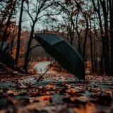 خواطر 🍂