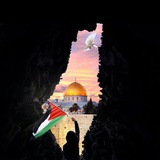 ⤶سَكَن ⊁ 🤎