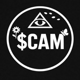 scam