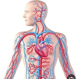 قناة الاستاذه غيداء السعدون للطلاب مداارس المتميزين وكلية بغداد Biology