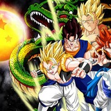 ๐ Dragonball BTC Pay ๐