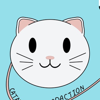CATAMICE PRODUCTION