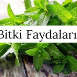 BİTKİ FAYDALARI