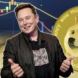 Crypto Musk ®