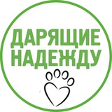 Дарящие надежду — фонд помощи животным