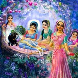 Radhe Krishna Status Videos โค๏ธ