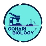 زیست به سبک گوهری