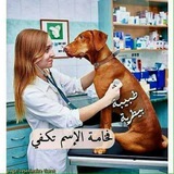 معلومات طبيبة بيطرية