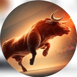 STOCK TREADER 📈