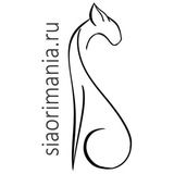 Ориенталы, Сиамы, Петерболды - SiaOriMania.ru - ориентальные кошки. ориенталы, сиамы, петерболды. КОТЯТА SOM