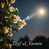 طـيـ᭓ـف آلَـيـّآًسًـ᭣ٌ᭫ᥫᩣـمِــيـن✨🤍