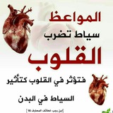 سياط القلوب