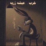 Memes shitposter | ميمز 🦨