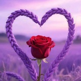 تنـــــــاهيد⚘| Tnahid
