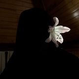 этот путь не успыпан цветами