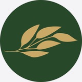 Irtikeeva PRO. Органичное лидерство