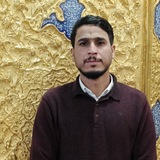 حسن ناصر