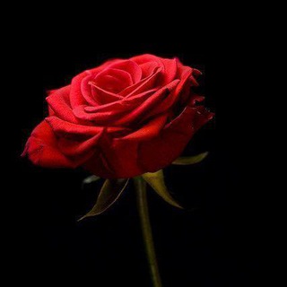 اغاني تركيا حزينه منوعات 🇹🇷