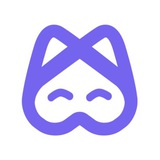 Diagnocat AI