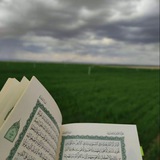 اللهُ لَطيفُ بِعبَادهِ 🤍