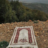 طريق الهُدى .