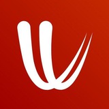 دورة برنامج الرياح Windy
