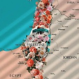 دراسات اجتماعيه مس عبير عبدالعزيز 🌎