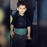 پوریا هاشمی