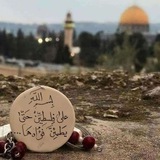 اقتباسات ، خواطر ، رسائل ، عبارات 📝