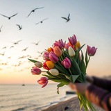 اقتباسات 🌸 ✨
