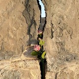 وَجدْ.