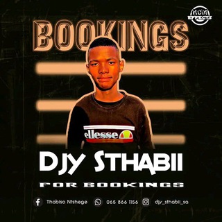 djy_sthabii