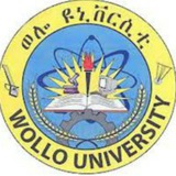 Wollo university