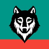TP Trading | Channel