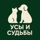 Усы и Судьбы | Помощь животным