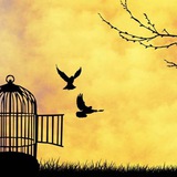 Панические атаки, ОКР и здоровый образ жизни ~~~ 🧘🏻♀️ ——