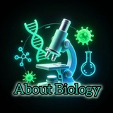 🧬 About Biology 🧬