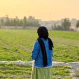 کانال اهنگ بی کلام