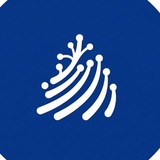 Vernex Journal