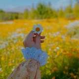 💞 ادبــــــي ویناء وي 💞