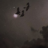 فنّ.