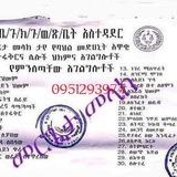 መርጌታ መላክ የባህልህክምና መስጫ